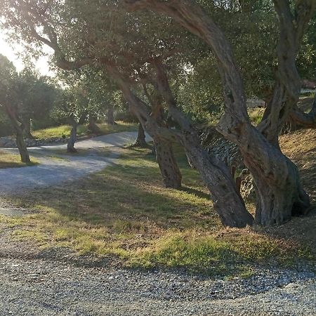 Twin Villas Rodia Dış mekan fotoğraf