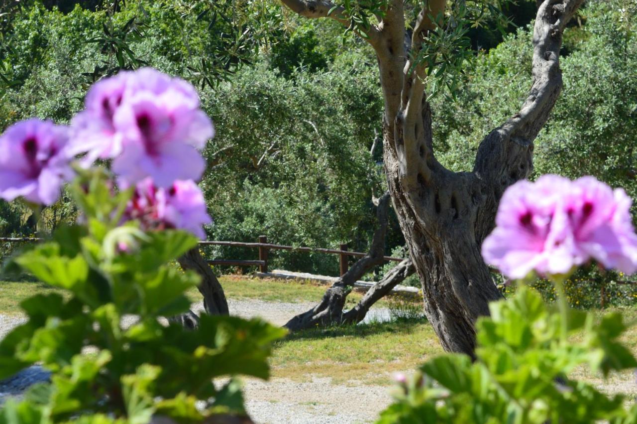 Twin Villas Rodia Dış mekan fotoğraf