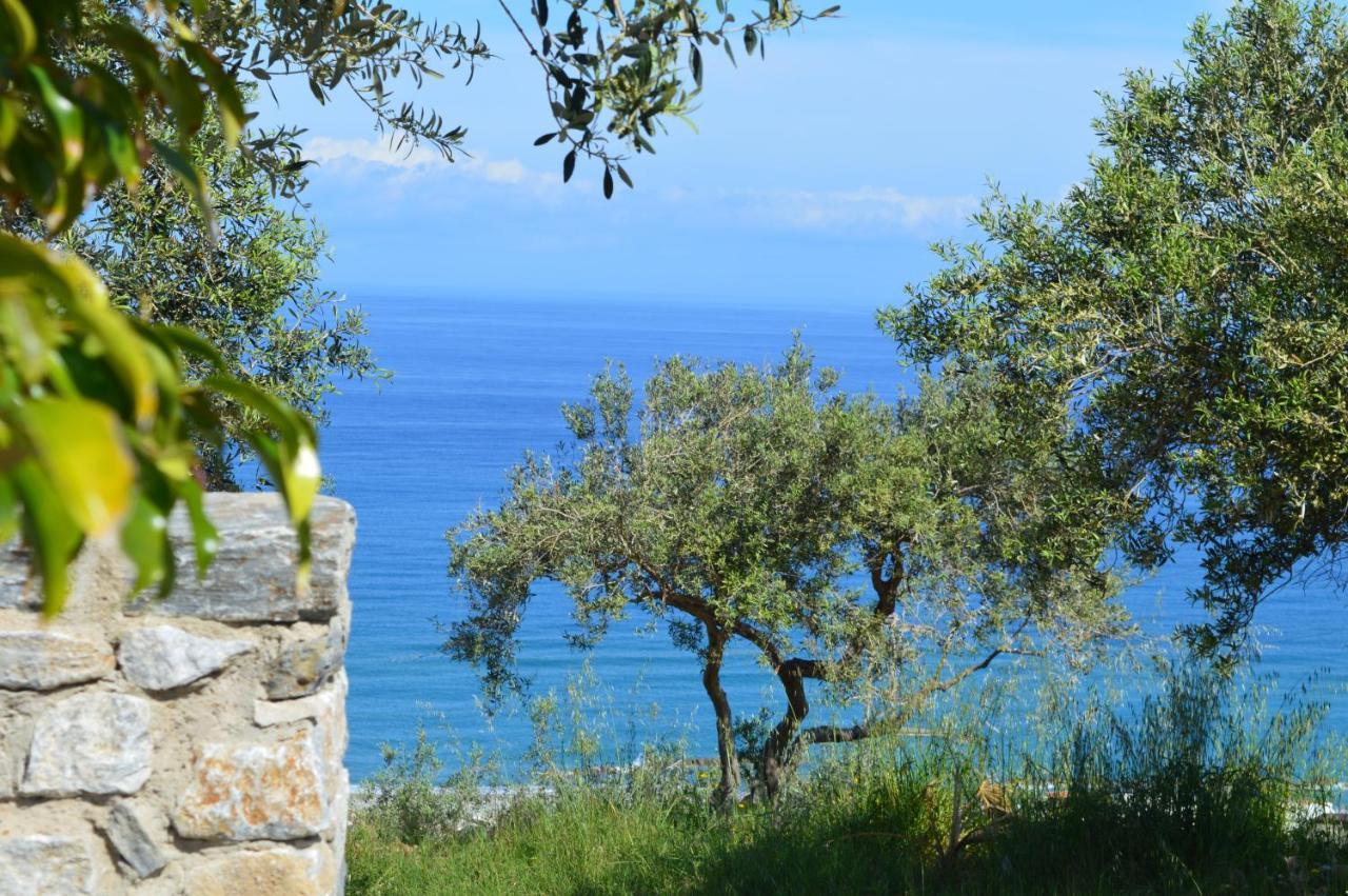 Twin Villas Rodia Dış mekan fotoğraf