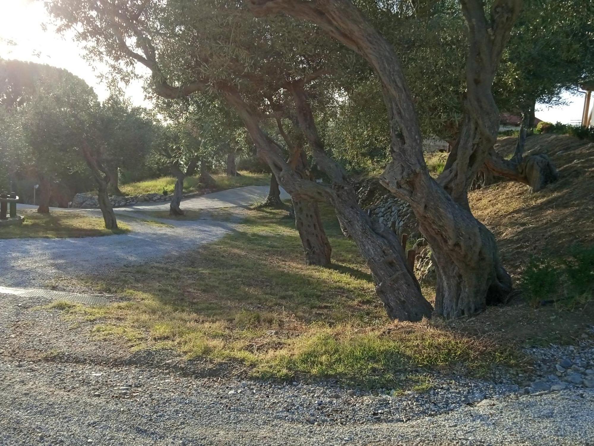 Twin Villas Rodia Dış mekan fotoğraf